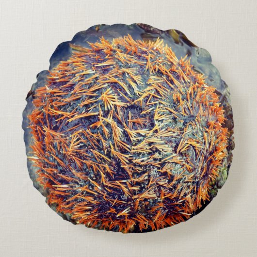 雲丹 ラウンドクッション (正面)