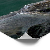 雲状ヒョウ ポスター (角)