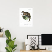 雲状ヒョウ ポスター (ホームオフィス)