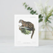 雲状ヒョウ ポストカード (スタンド正面)