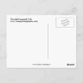 雲状ヒョウ ポストカード (裏面)