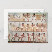 雲窓陵の草取り図 ポストカード (正面/裏面)