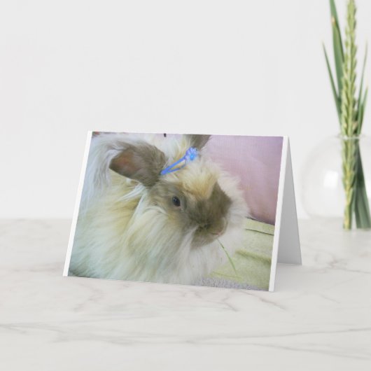 雲都市繊維のトートバック カード (正面)