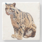 雲雀写真ジャングル大きな猫動物 ストーンコースター (正面)