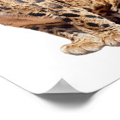 雲雀写真ジャングル大きな猫動物 ポスター (角)