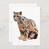 雲雀写真ジャングル大きな猫動物 招待状 (正面/裏面)