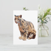 雲雀写真ジャングル大きな猫動物 招待状 (スタンド正面)