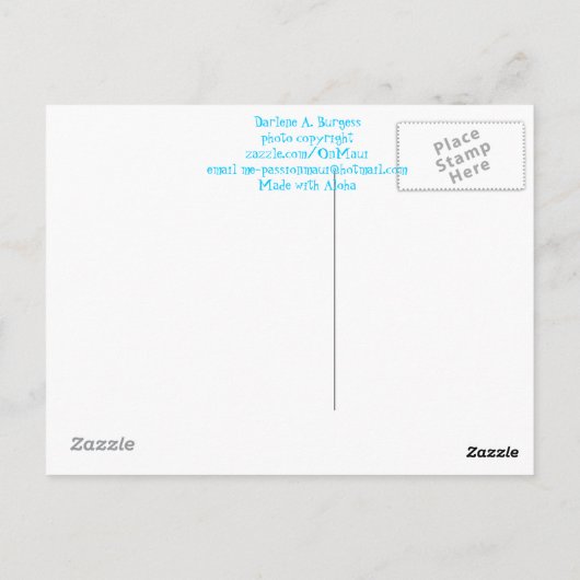 雲 ポストカード (裏面)