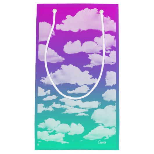 雲 – 小抱き枕 スモールペーパーバッグ (正面)