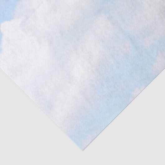 雲 薄葉紙 (詳細)