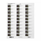 雷吹嵐の中の木が風に ラベル (フルシート)