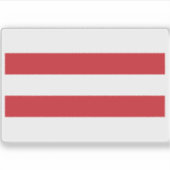 雷建国旗 シール (正面)