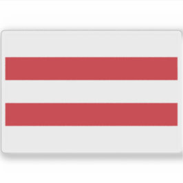 雷建国旗 シール