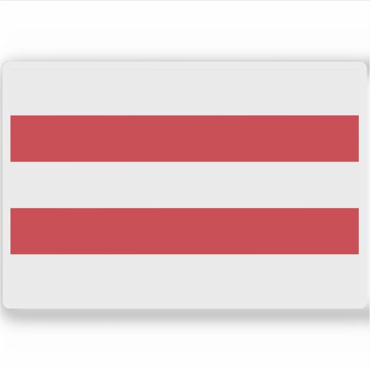 雷建国旗 シール (正面)