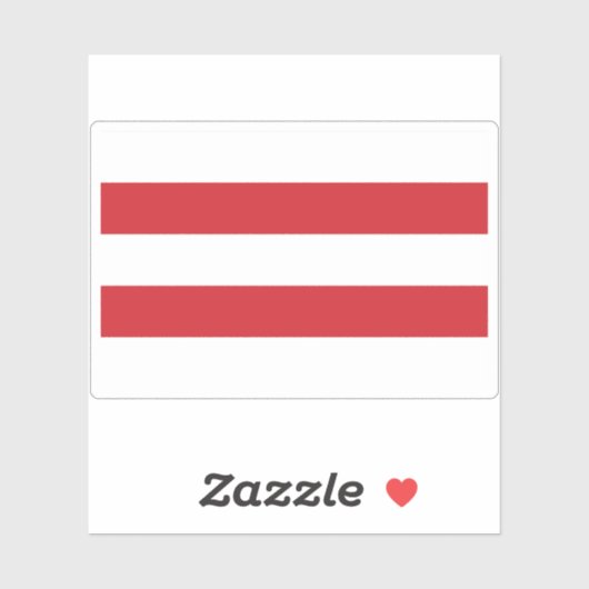 雷建国旗 シール (シート)