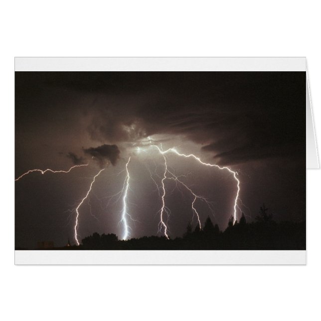 雷稲妻 (正面横)