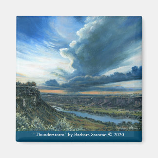 「雷雨」磁石 マグネット