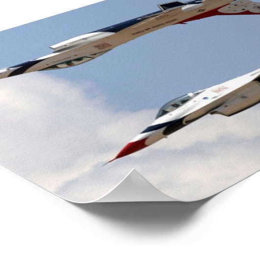 雷鳥 ポスター (角)