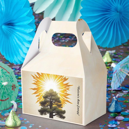 「雷鳴」 フェイバーボックス (パーティー)