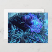 電動ガーデンバラはがき ポストカード (正面/裏面)