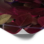 電動ブルーバラ ポスター (角)