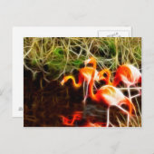 電化フラミンゴ ポストカード (正面/裏面)