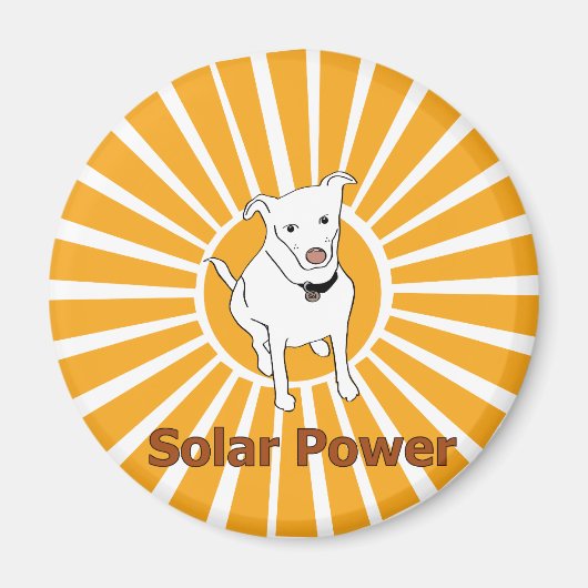 電太陽の力磁石 マグネット (正面)