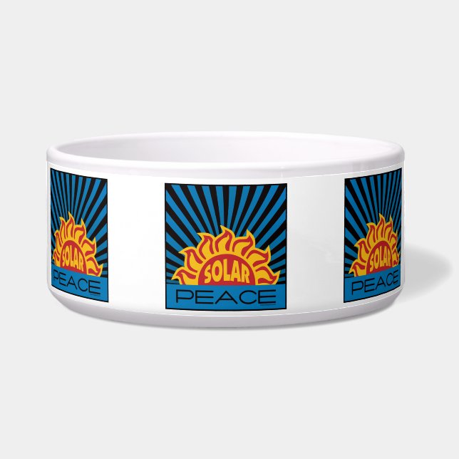 電太陽の力 ボウル (正面)