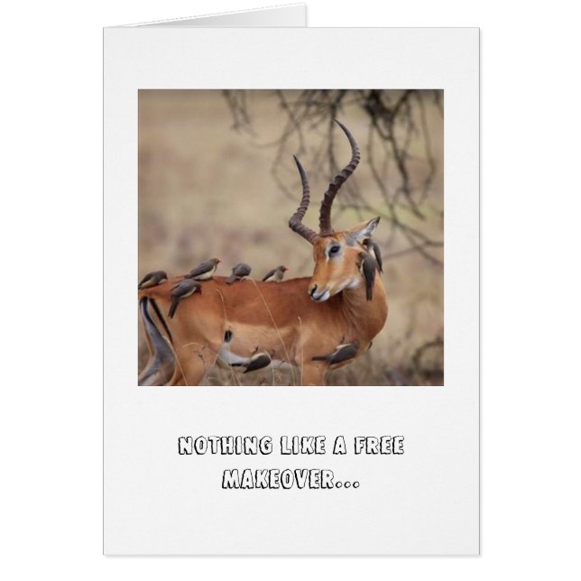 電子カルテ (正面)