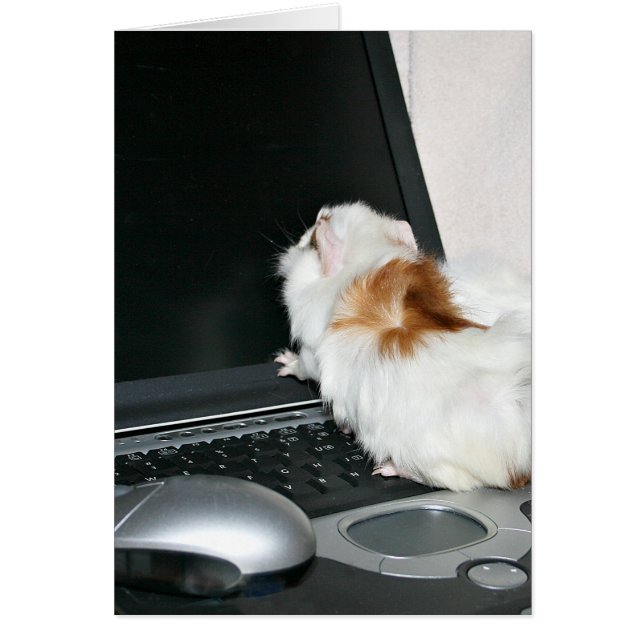 電子メールの確認 (正面)