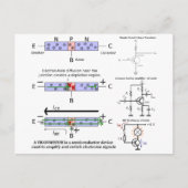 電子信号増幅トランジスタ半導体 ポストカード (正面)