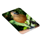 電撃性口笛を吹くアヒルがレールに乗る マグネット (右側)