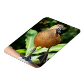 電撃性口笛を吹くアヒルがレールに乗る マグネット (左側)