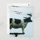 電柱に牛を乗せる ポストカード (正面/裏面)
