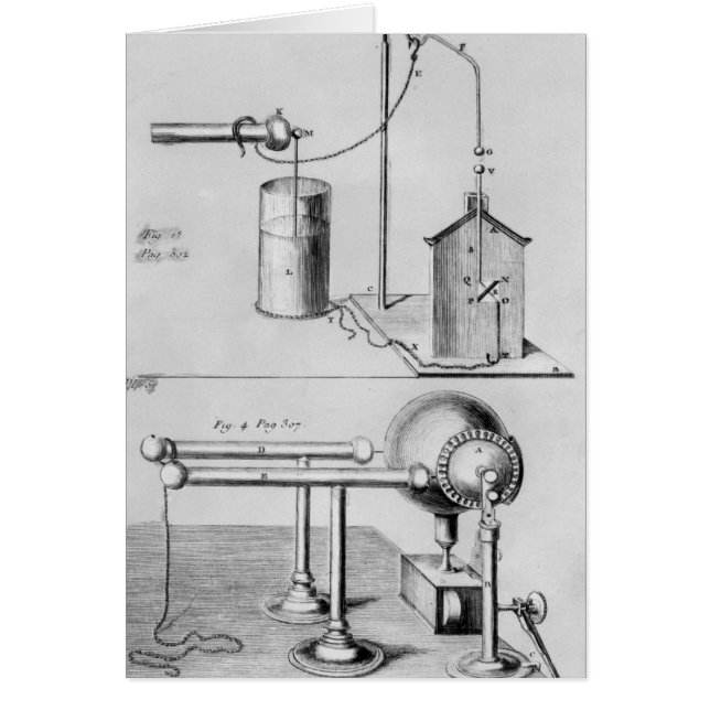 電気を調査する2匹の楽器 (正面)