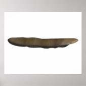 電気ウナギ ポスター (正面)