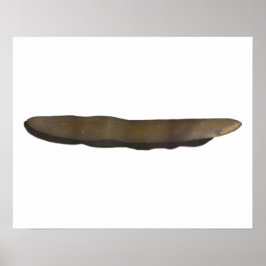 電気ウナギ ポスター