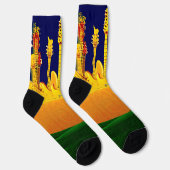 電気サンセット！ ソックス (右)