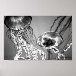 電気ゼリー ポスター