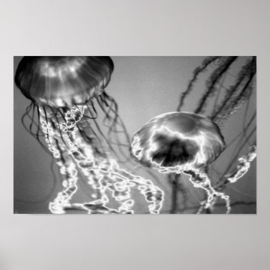 電気ゼリー ポスター (正面)