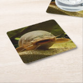 電気ナマズ スクエアペーパーコースター (アングル)