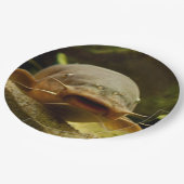 電気ナマズ ペーパープレート (アングル)