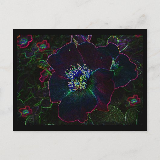 電気バラ ポストカード (正面)