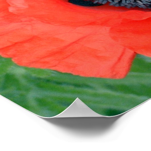 電気ポピー ポスター (角)