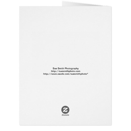 電気付きアウトハウス – ピットトイレ – トイレ (裏面)