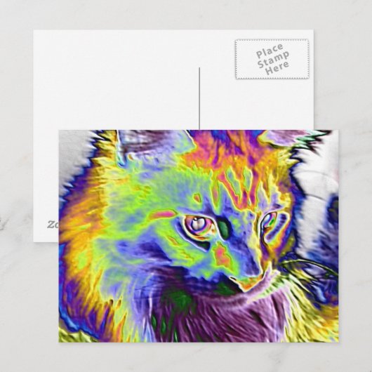電気猫 ポストカード (正面/裏面)