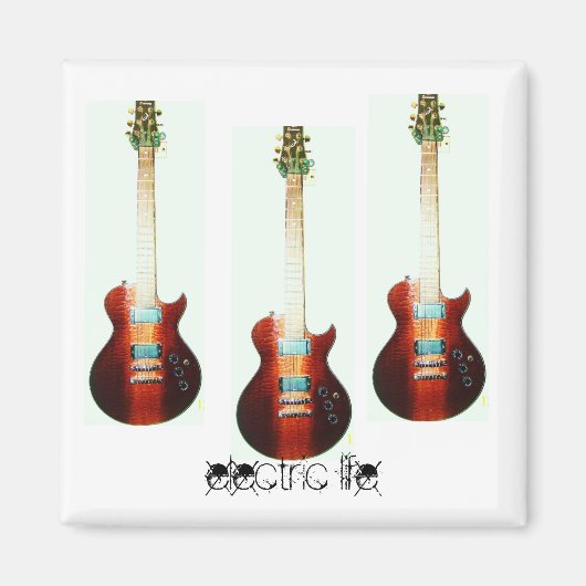 電気生命磁石 マグネット (正面)