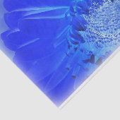 電気青色発芽 薄葉紙 (詳細)