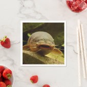 電気魚 スタンダードカクテルナプキン (インサイチュ)