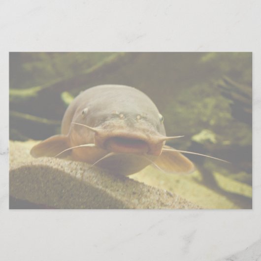 電気魚 便箋 (正面)